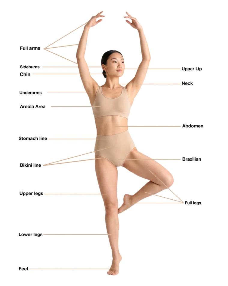 Schéma des zones d'épilation laser : visage, bras, aisselles, abdomen, bikini, jambes